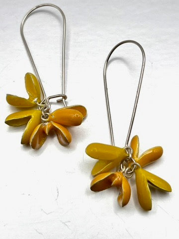 IMG_2387.jpg